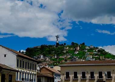 The Guardian Virgin Mary