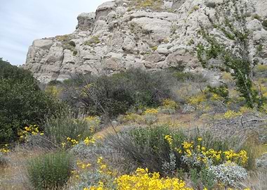 Mountains of the Mind