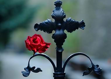 Crucifix and red rose
