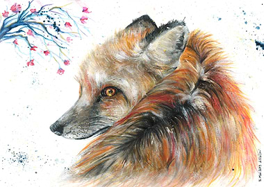 Red Fox