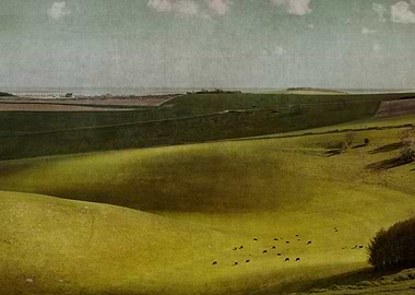 A Downland Slope