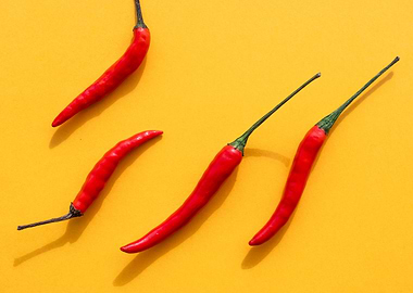 Chillies for art