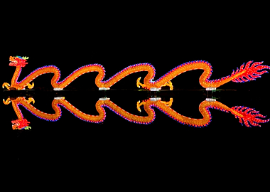 Moonlight Festival Dragon