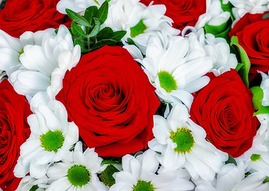 Red Roses White Daisies