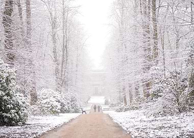 Snow covered Towneley
