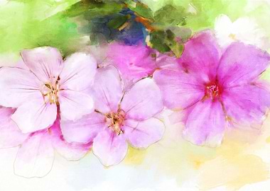 Watercolour Pink Petals