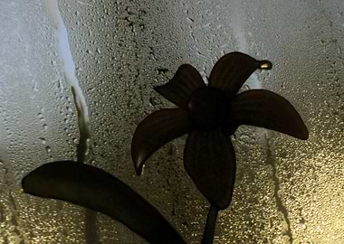 Abstract Rain Flower 1