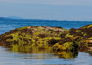 Beach on Galiano Island