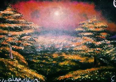 Explanation Canvas Print