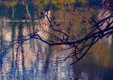 autumn reflection on lake