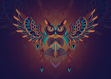 Owl Geometry