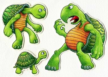 Turtle Evolution