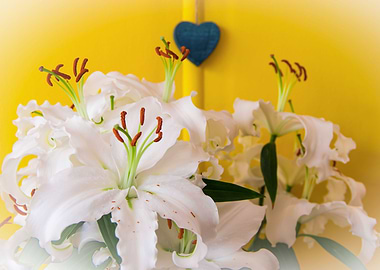 Madonna lily with heart