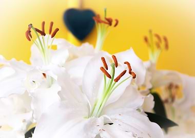 Madonna lily with heart