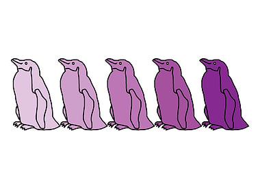 Five Purple Penguins