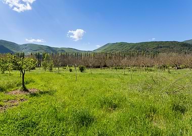 Orpiano countryside Marche