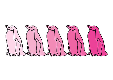 Five Pink Penguins