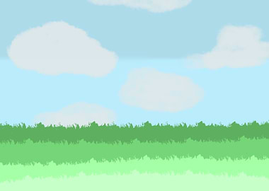 Grassy Fields