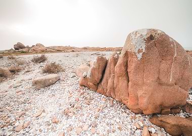 Cape Columbine South Afric