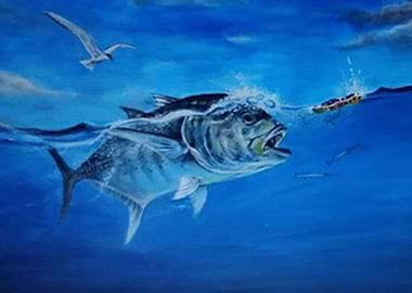 Fish and Bird feeding