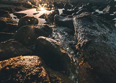 Cape Columbine South Afric