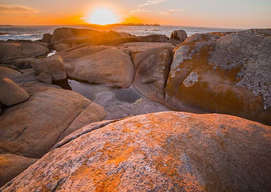 Cape Columbine South Afric