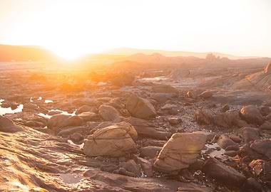 Cape Columbine South Afric