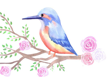 Kingfisher and pink roses