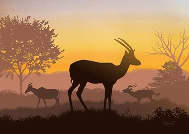Dusk in African Wilderness