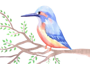 Cute Kingfisher on a tree