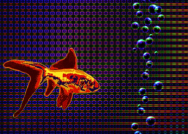 RGB Fish
