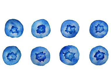 Watercolor blueberries