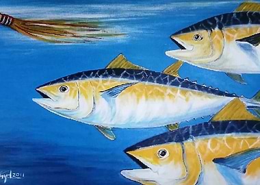 Group of Yellowfin Tuna