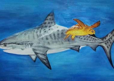 Shark and Turtle