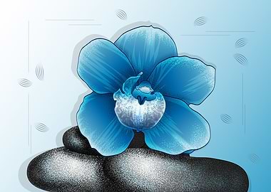 blue orchid flower