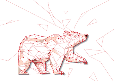 BEAR Wire frame low polygo