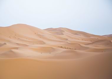 Sahara Desert Morocco