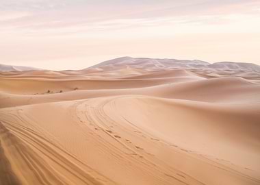 Sahara Desert Morocco