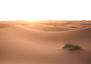 Sahara Desert Morocco