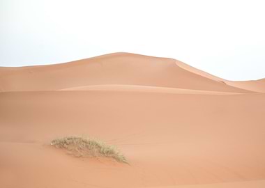 Sahara Desert Morocco