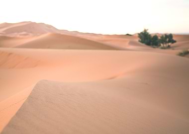Sahara Desert Morocco