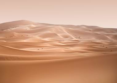 Sahara Desert Morocco