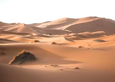 Sahara Desert Morocco