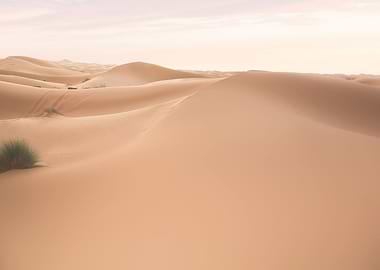 Sahara Desert Morocco