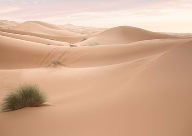 Sahara Desert Morocco