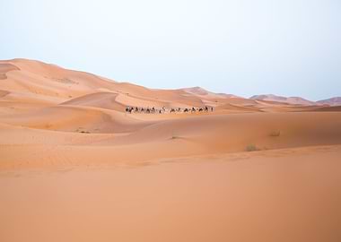 Sahara Desert Morocco