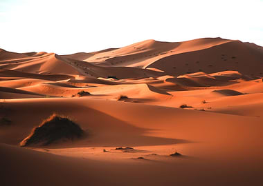 Sahara Desert Morocco