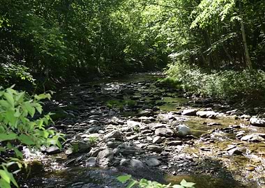 Bish Brook
