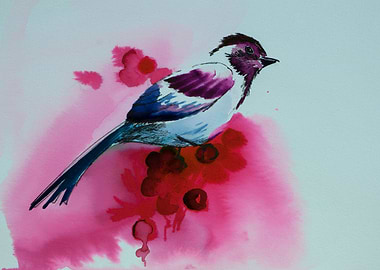 Birds. About red fruits