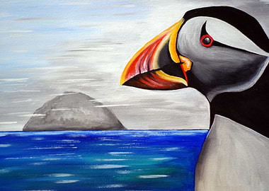 Puffin at Ailsa Craig